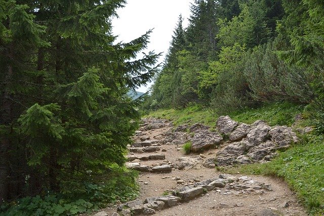 Apartamenty w zakopanem dla fanów aktywnego wypoczynku Zakopane – raj dla miłośników aktywności na świeżym powietrzu